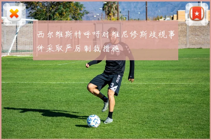 西尔维斯特呼吁对维尼修斯歧视事件采取严厉制裁措施