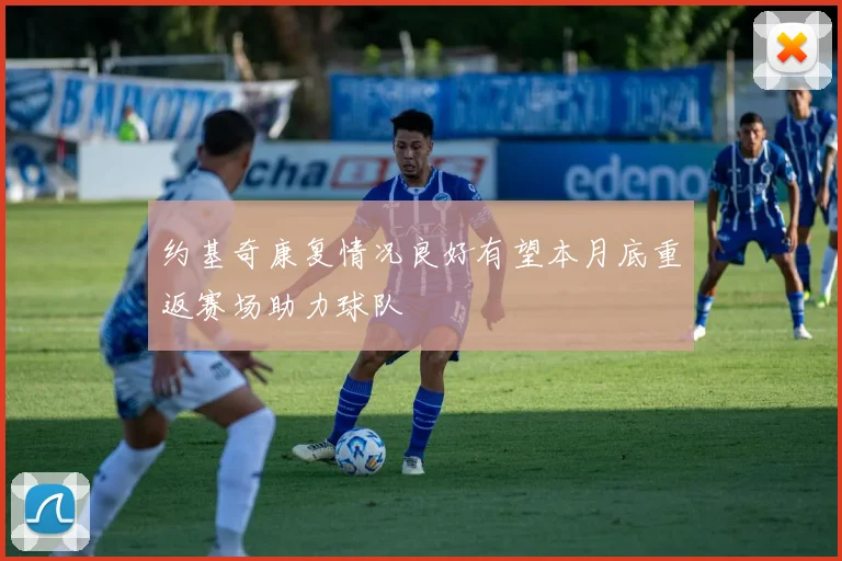 约基奇康复情况良好有望本月底重返赛场助力球队