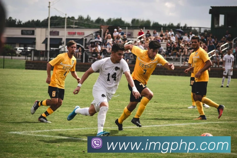 星空网官方网站入口品牌故事