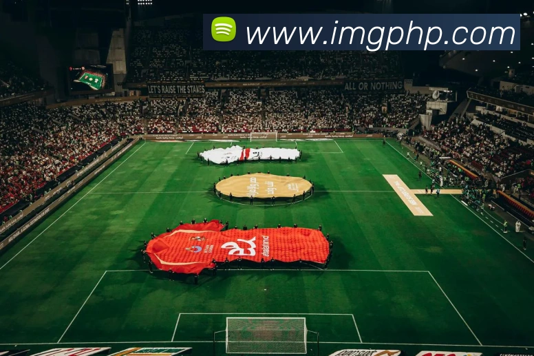 星空网官方网站入口服务体系